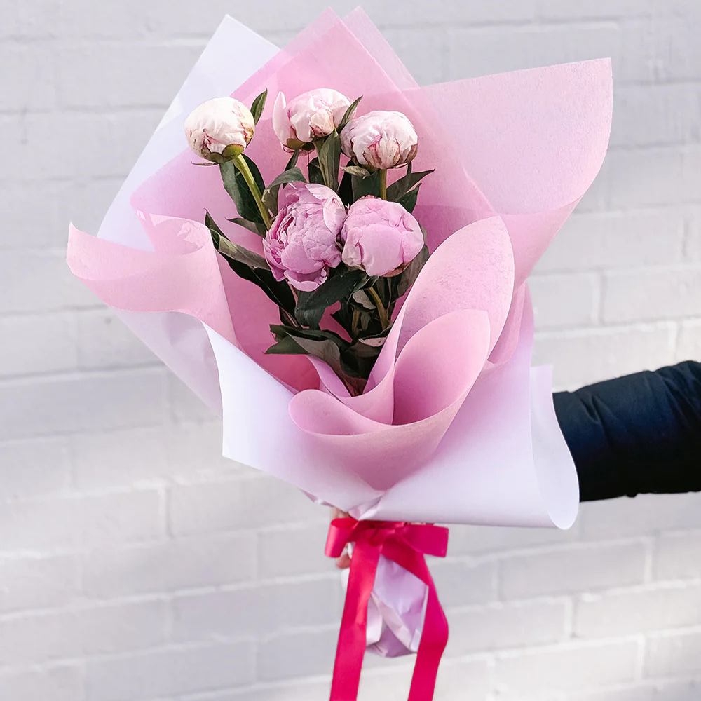 Imported Peonies