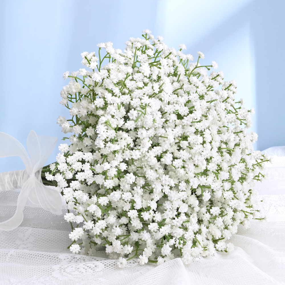 Baby’s Breath (Gypsophila)